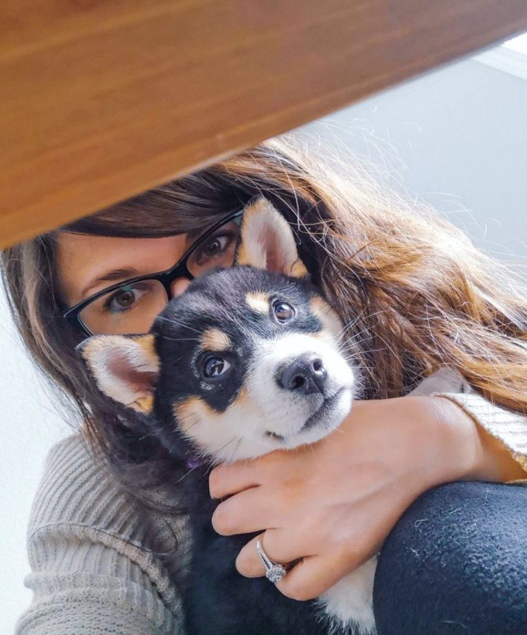 Help, I Think I Made a Mistake… Breaking Down the “New Dog”&nbsp;Blues